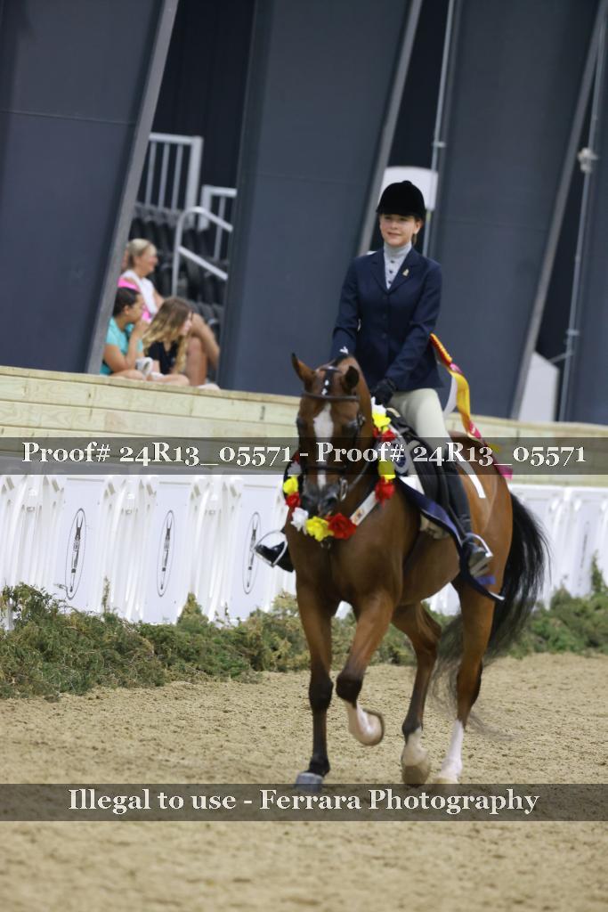 Proof Number 24R13_05571