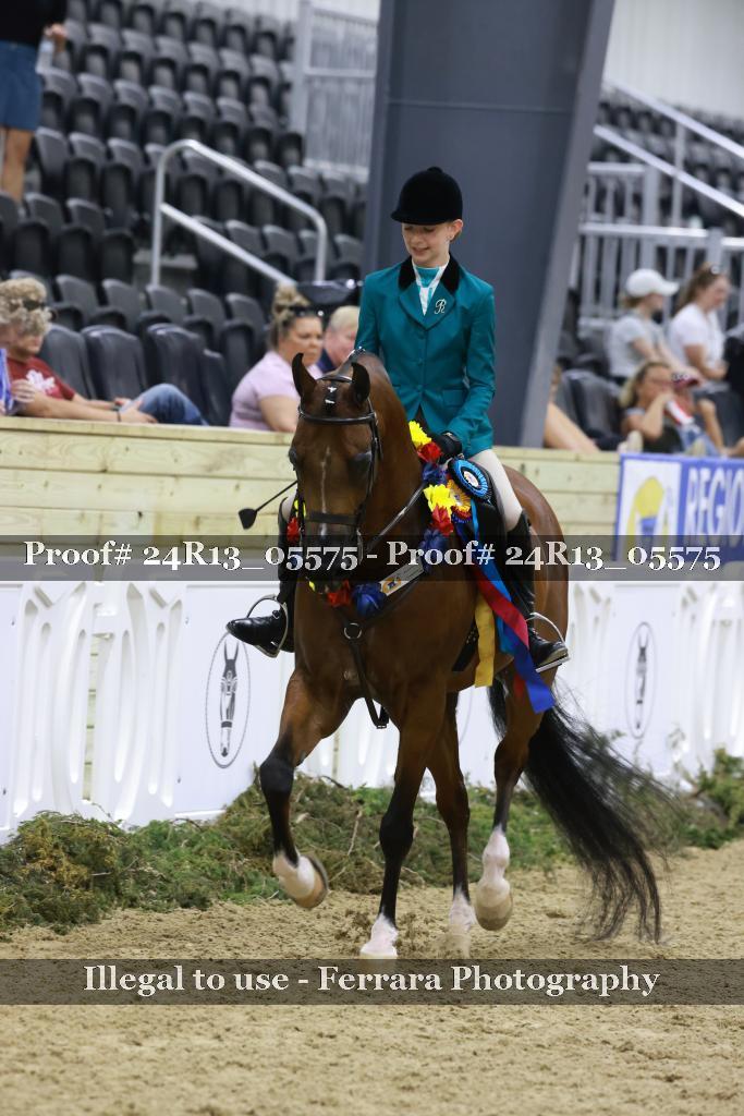Proof Number 24R13_05575