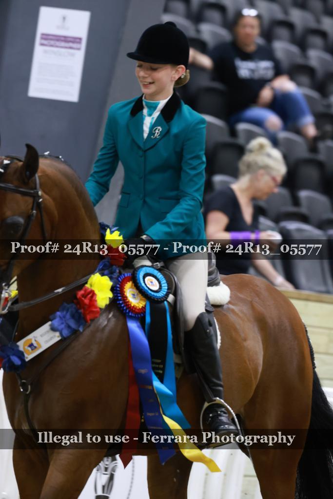 Proof Number 24R13_05577