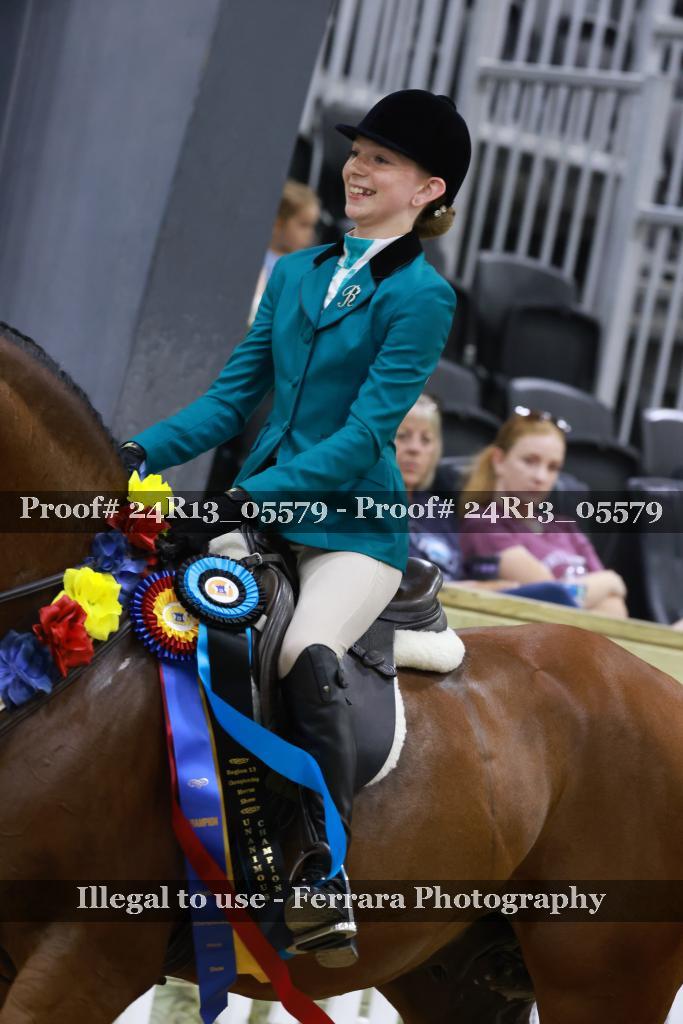 Proof Number 24R13_05579