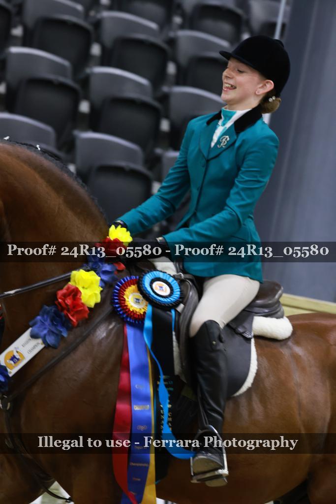 Proof Number 24R13_05580