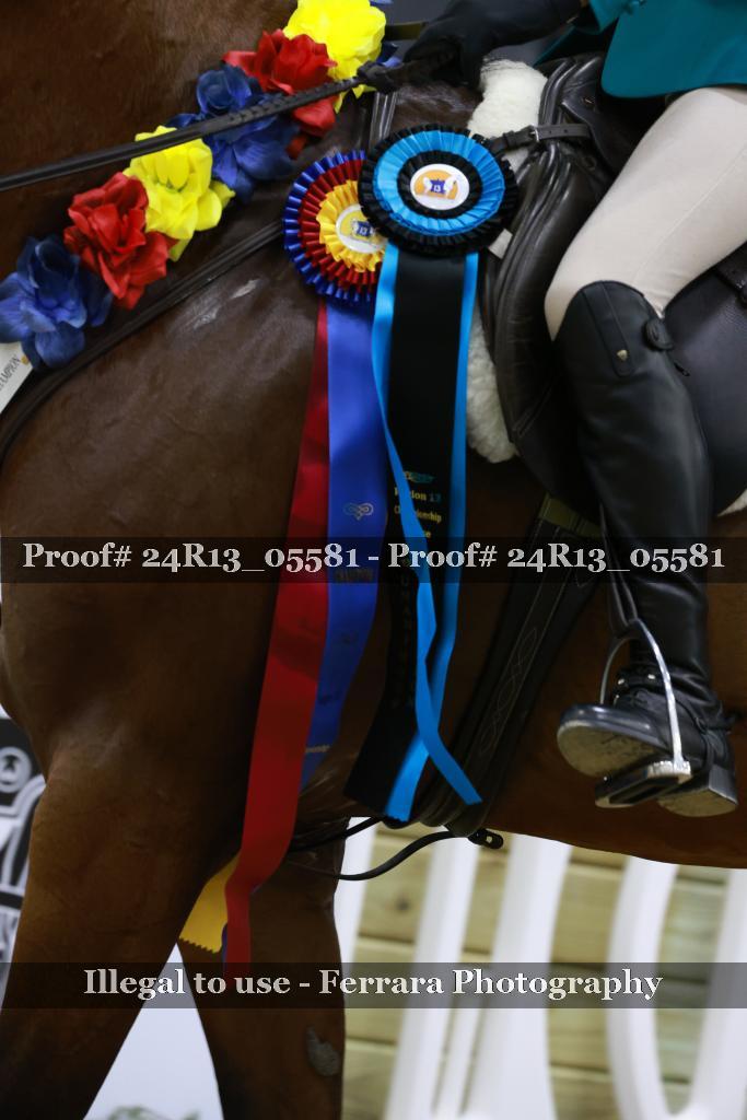 Proof Number 24R13_05581