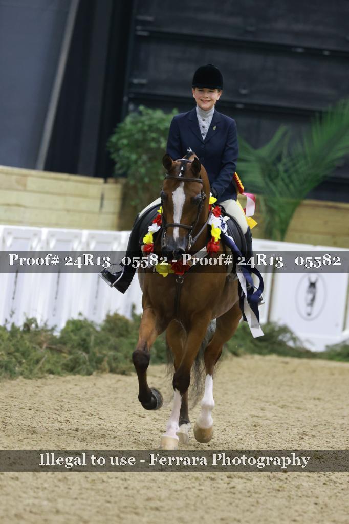 Proof Number 24R13_05582