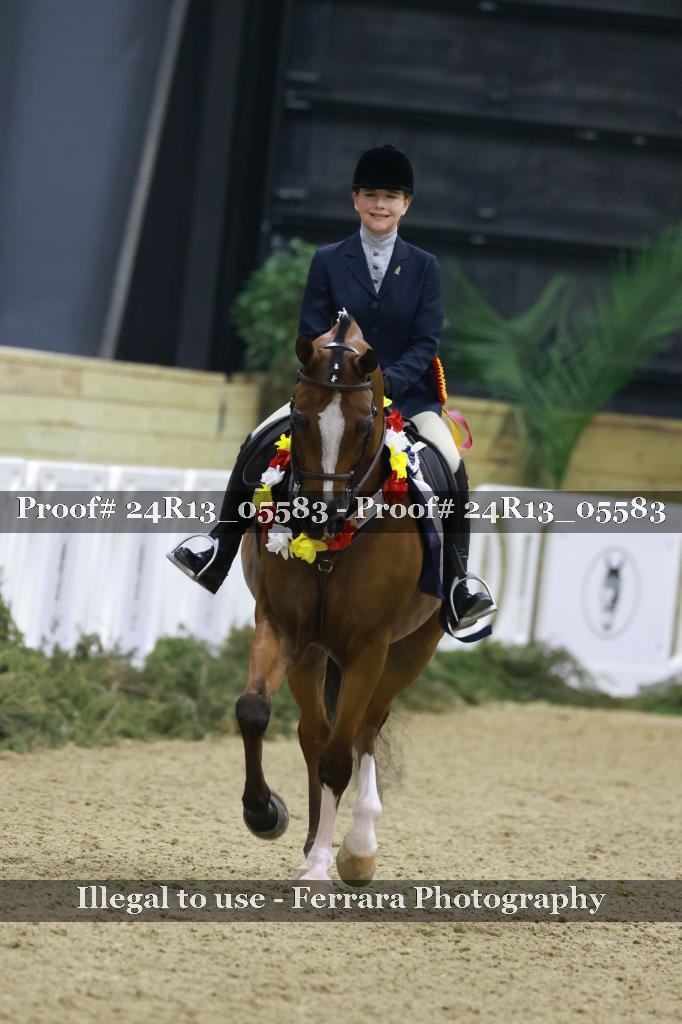 Proof Number 24R13_05583