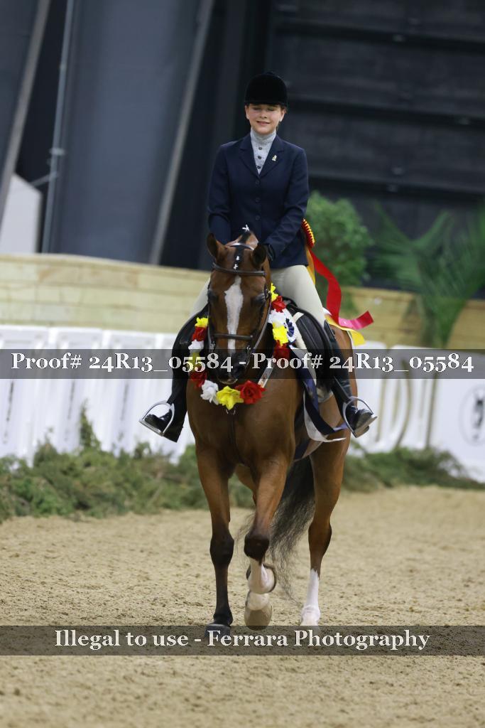 Proof Number 24R13_05584