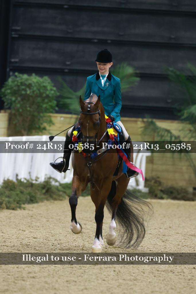 Proof Number 24R13_05585