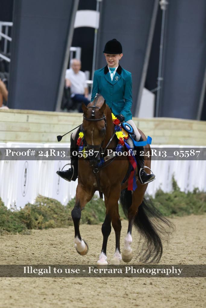 Proof Number 24R13_05587