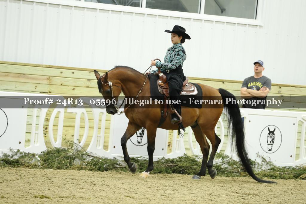 Proof Number 24R13_05596