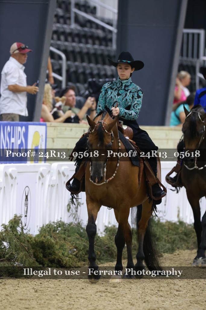 Proof Number 24R13_05618