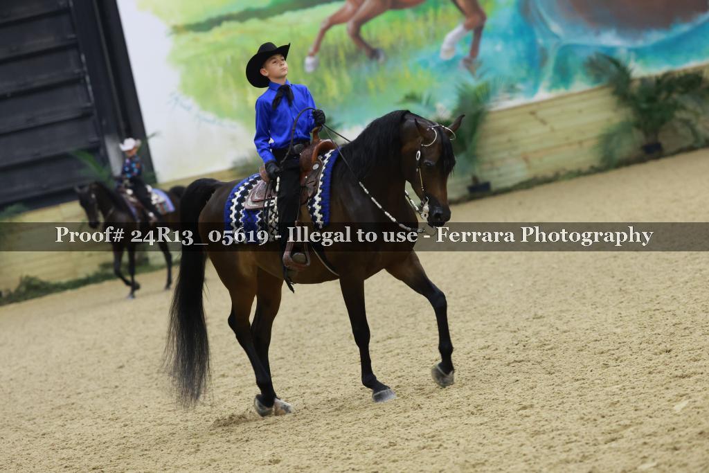 Proof Number 24R13_05619