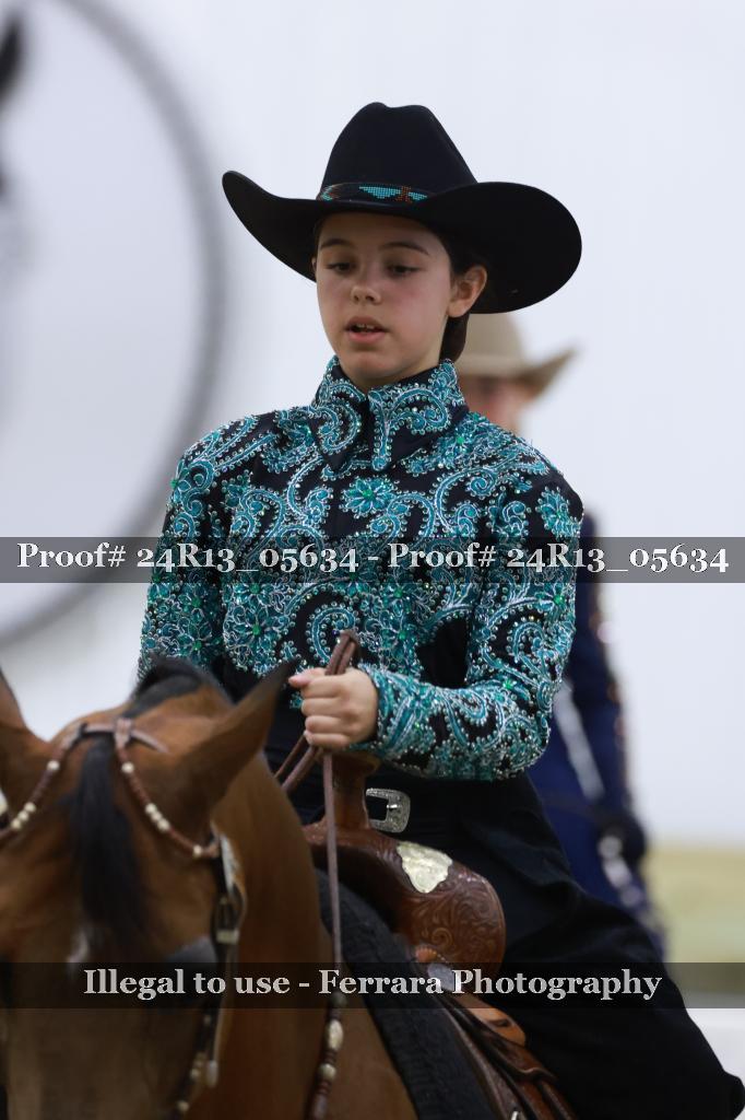 Proof Number 24R13_05634