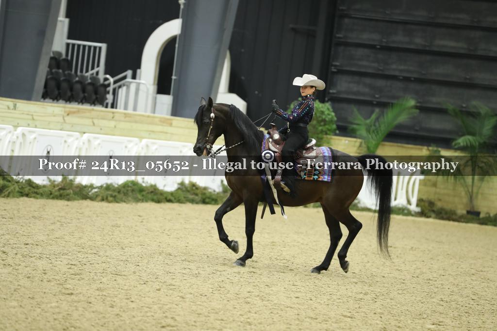 Proof Number 24R13_05652