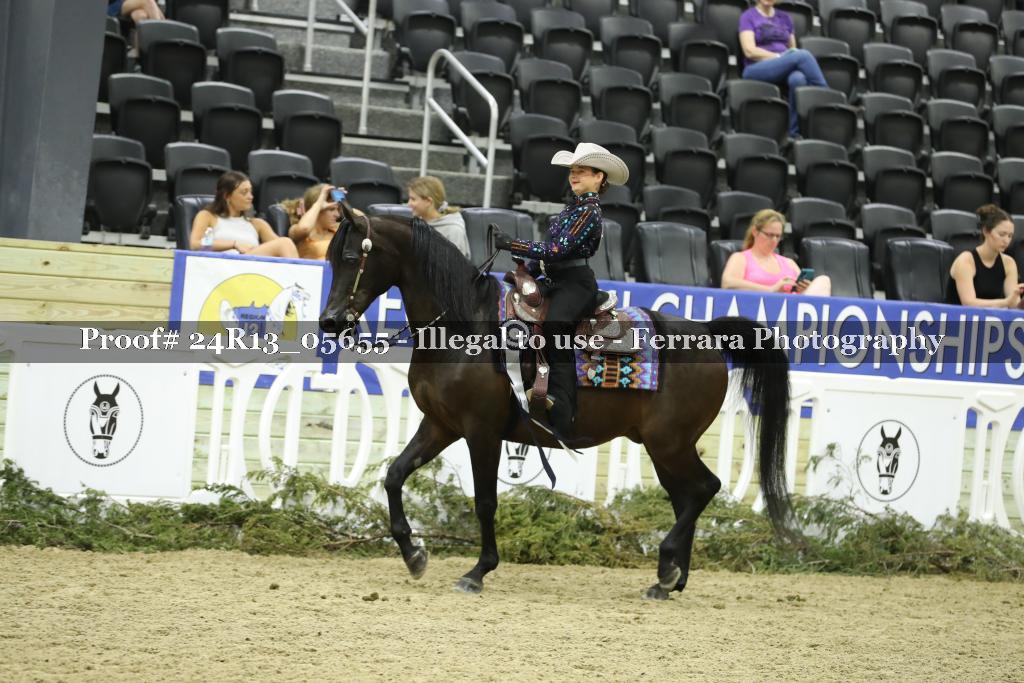 Proof Number 24R13_05655