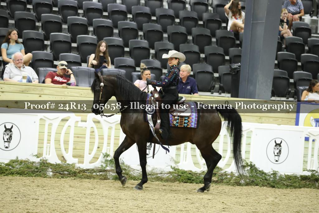 Proof Number 24R13_05658