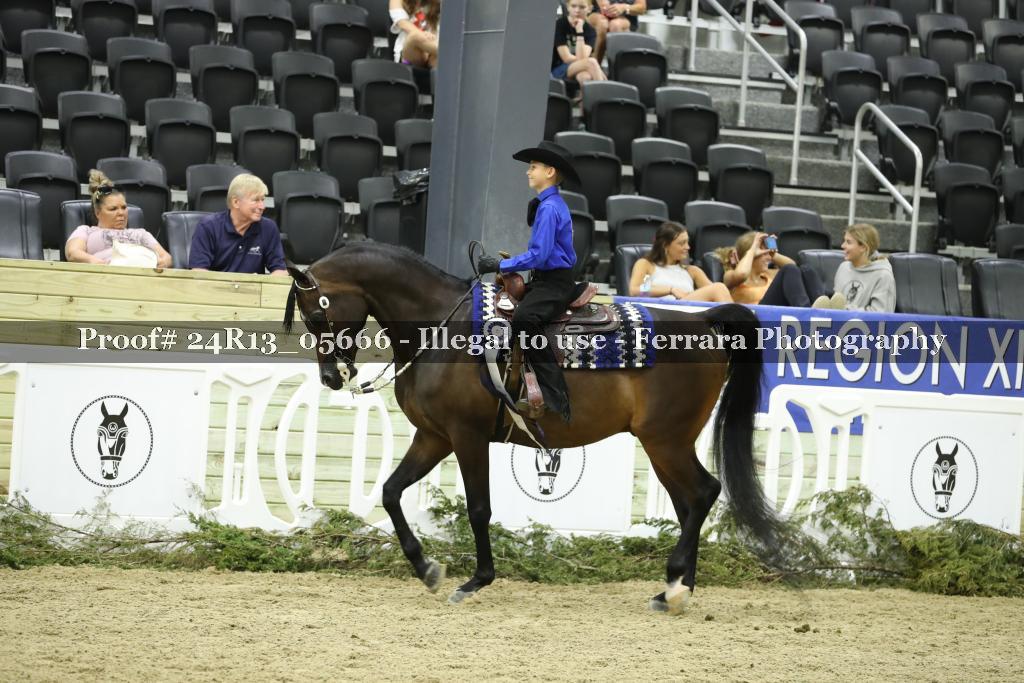 Proof Number 24R13_05666