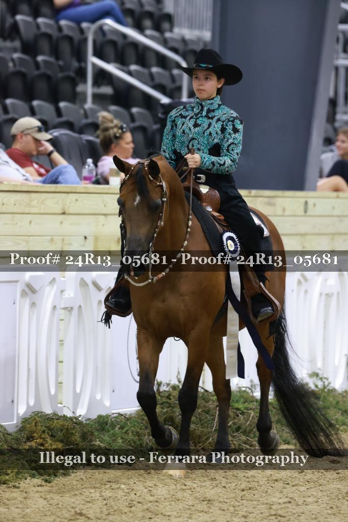Proof Number 24R13_05681