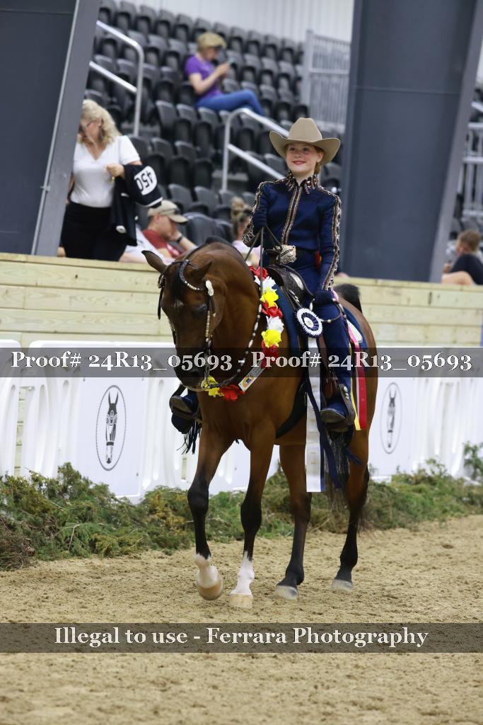 Proof Number 24R13_05693