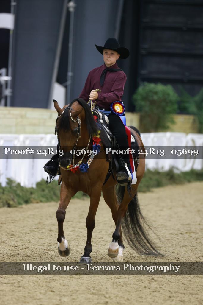 Proof Number 24R13_05699