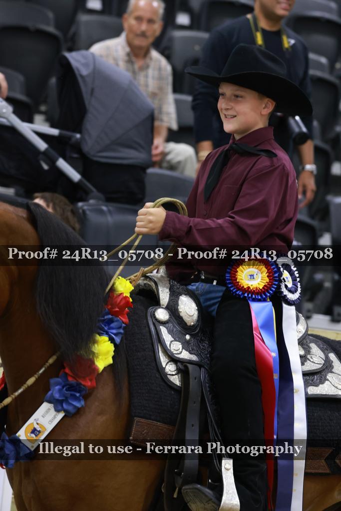 Proof Number 24R13_05708