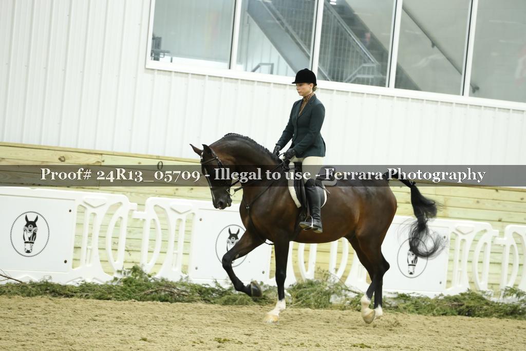 Proof Number 24R13_05709