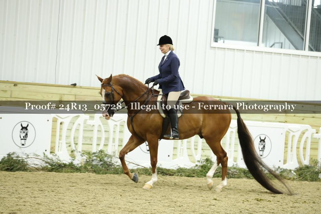 Proof Number 24R13_05728