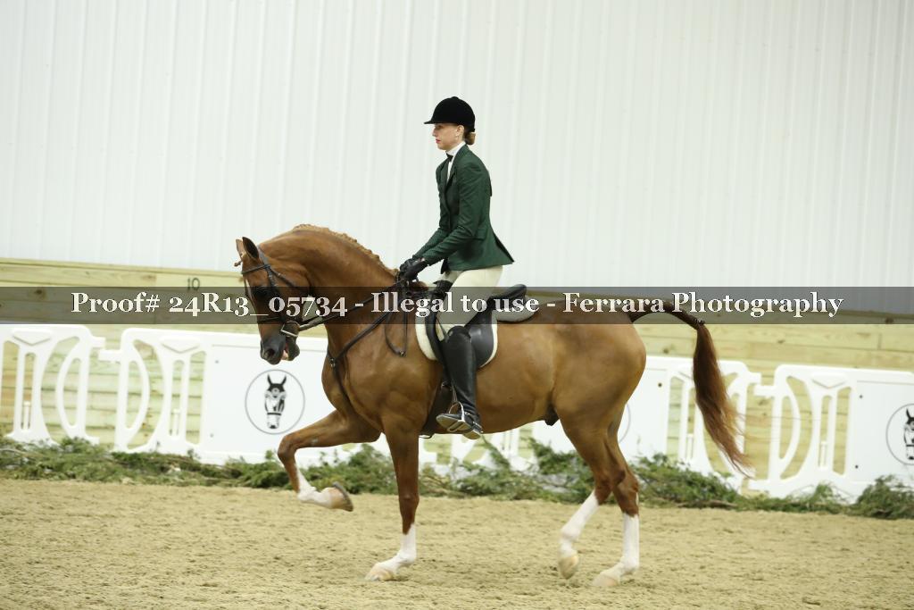 Proof Number 24R13_05734