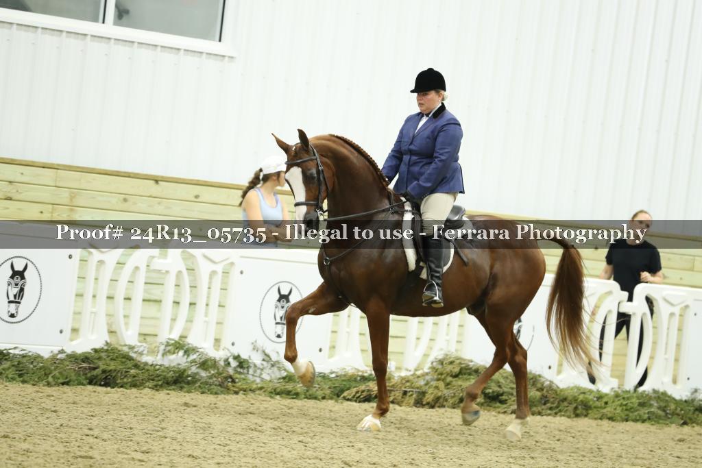 Proof Number 24R13_05735