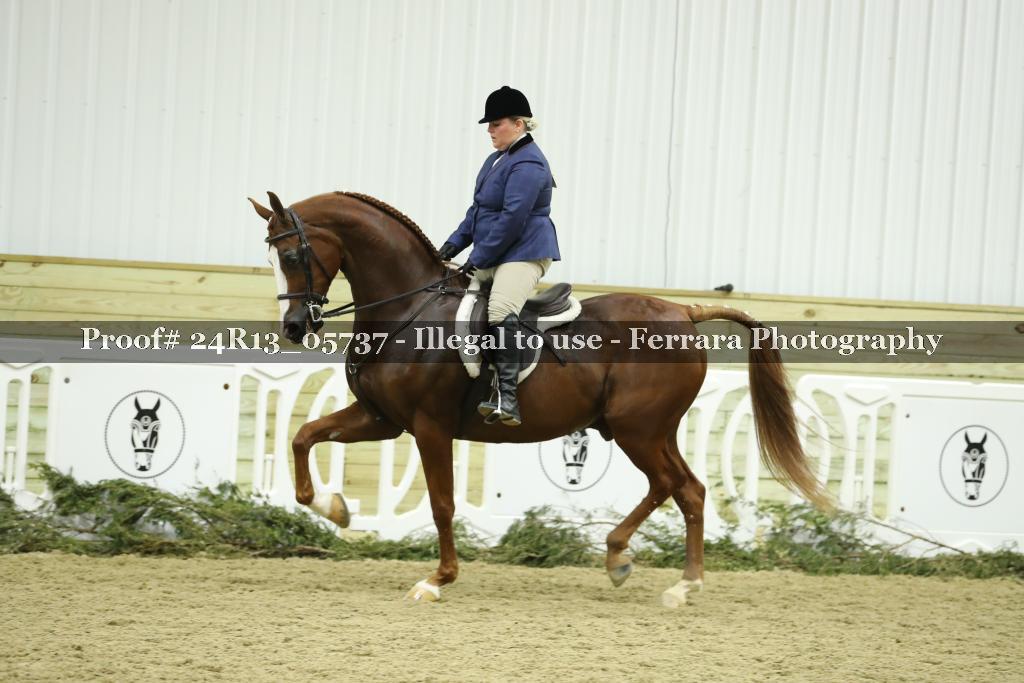 Proof Number 24R13_05737