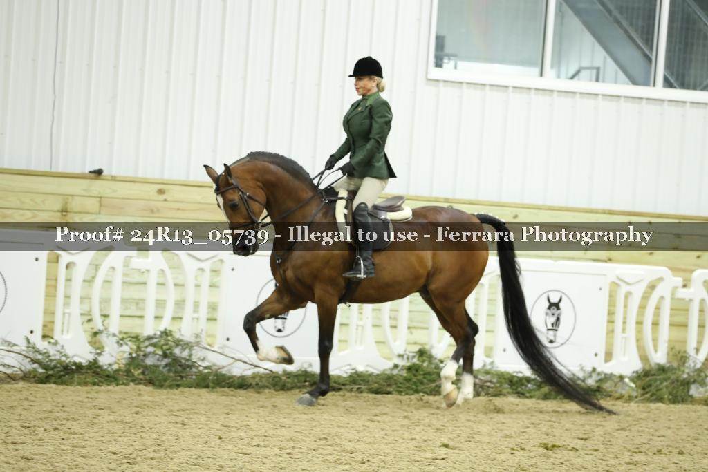 Proof Number 24R13_05739