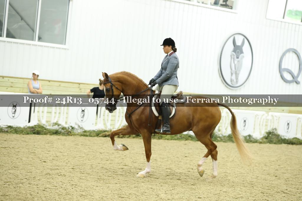 Proof Number 24R13_05744
