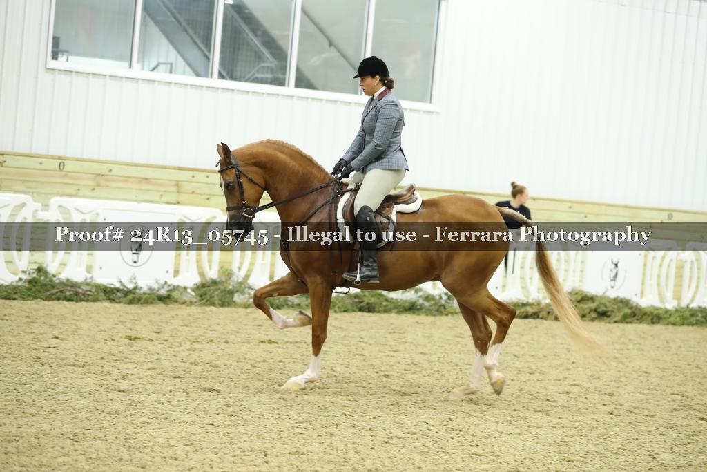 Proof Number 24R13_05745