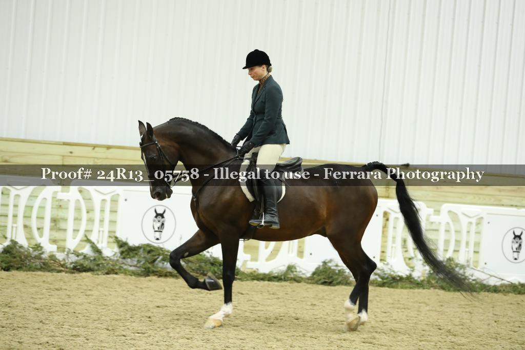 Proof Number 24R13_05758