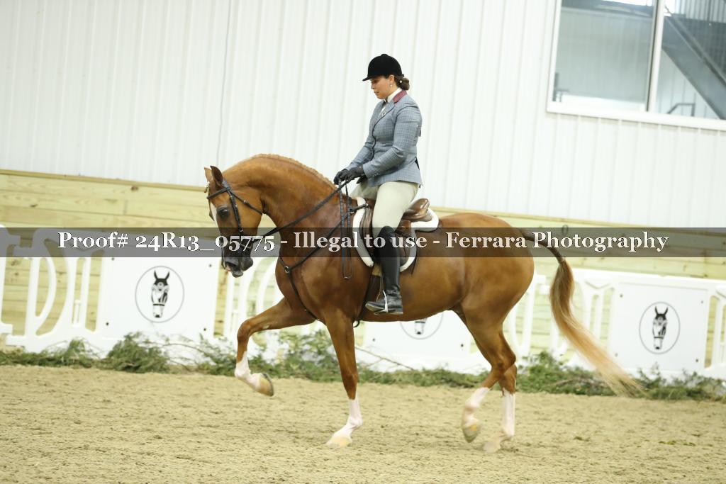Proof Number 24R13_05775