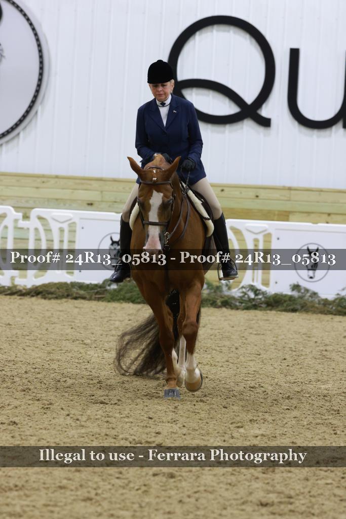 Proof Number 24R13_05813