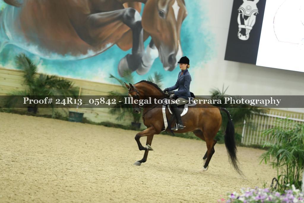 Proof Number 24R13_05842