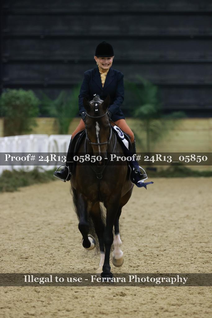 Proof Number 24R13_05850