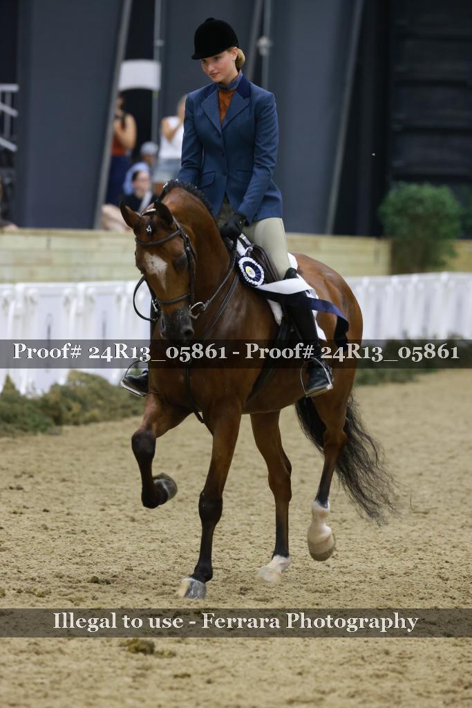 Proof Number 24R13_05861