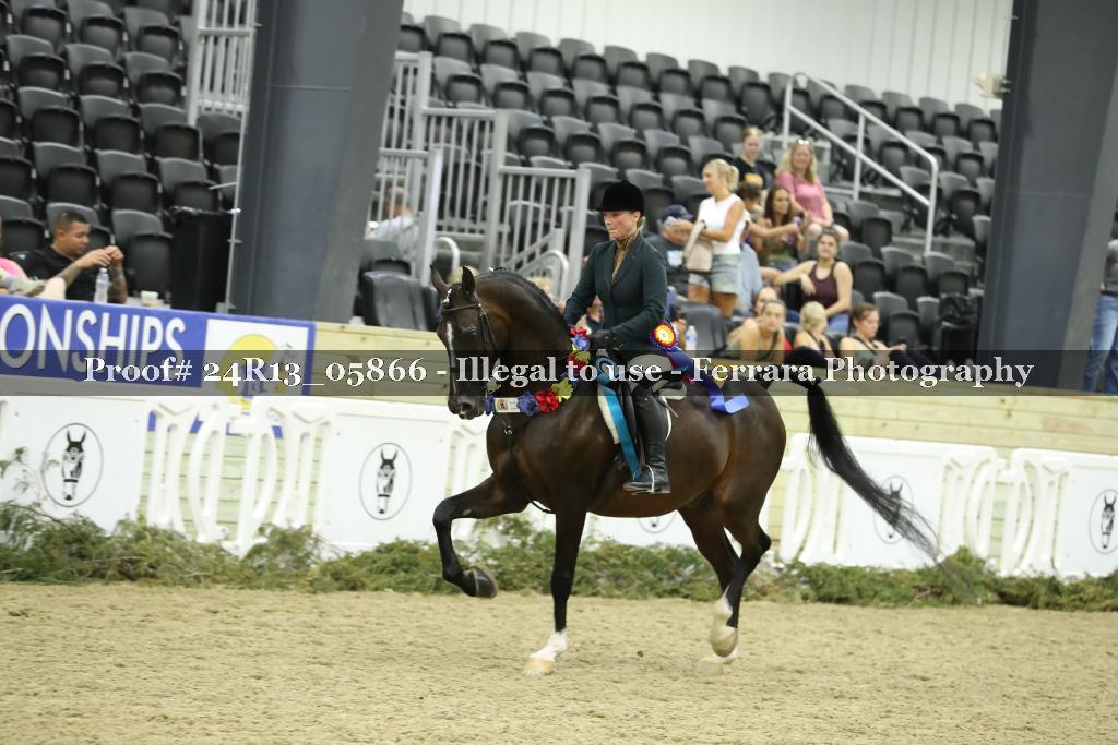 Proof Number 24R13_05866