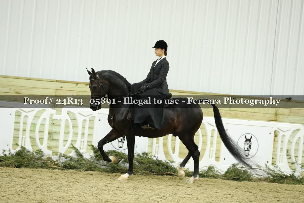 Proof Number 24R13_05891
