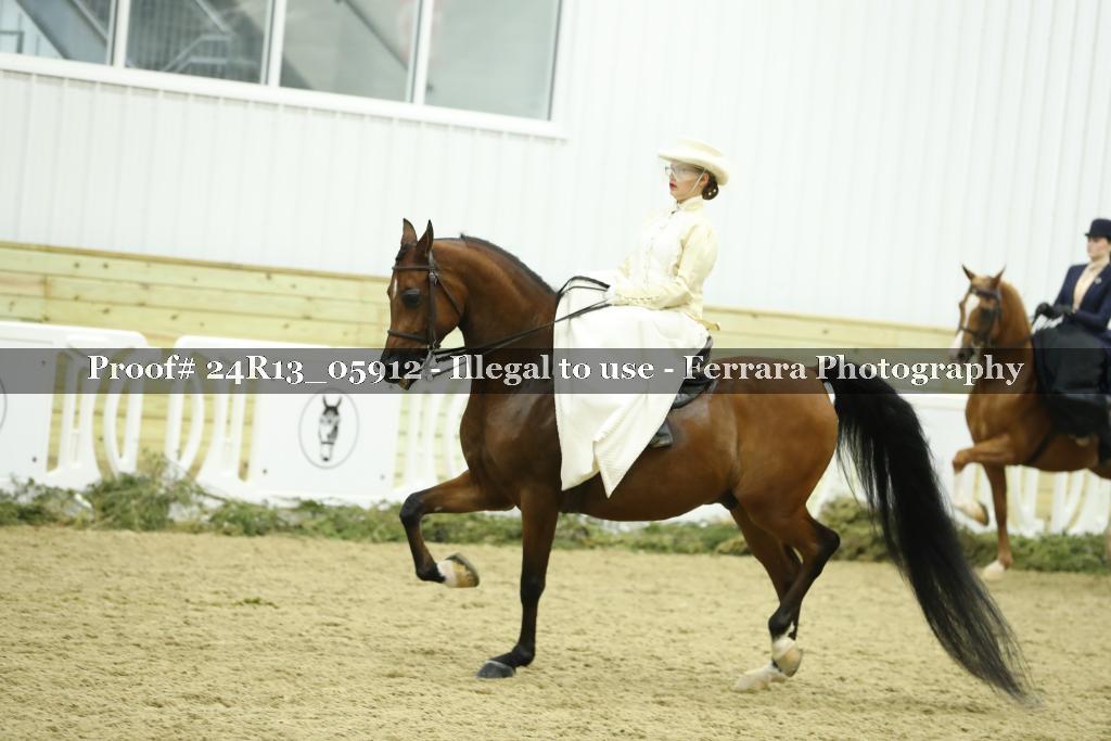 Proof Number 24R13_05912