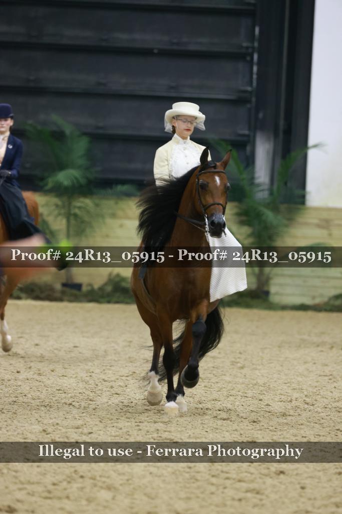 Proof Number 24R13_05915