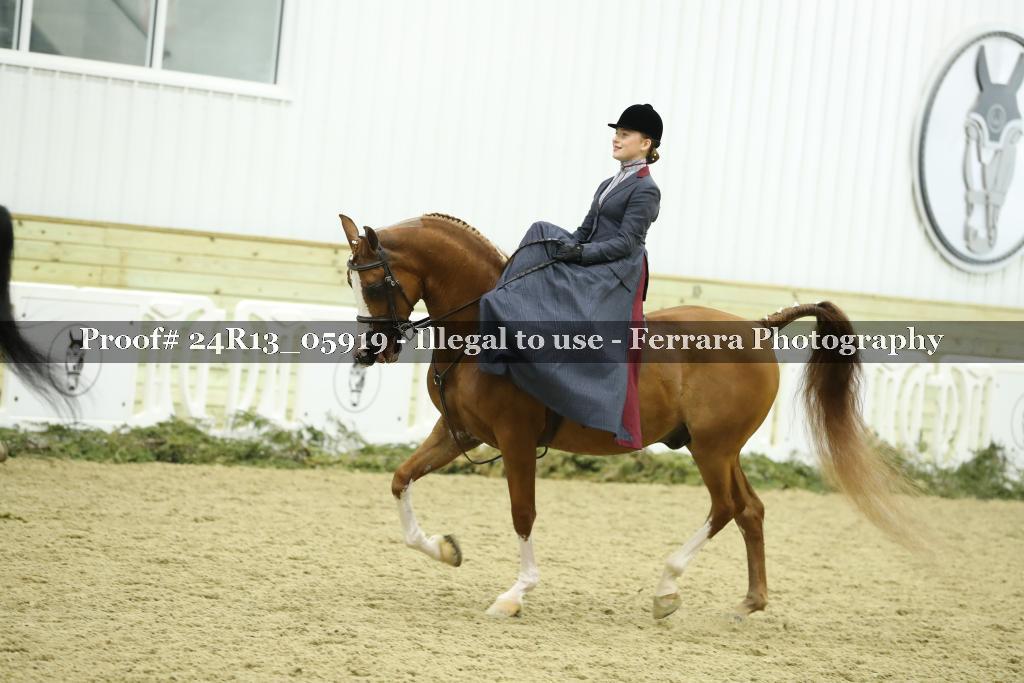 Proof Number 24R13_05919