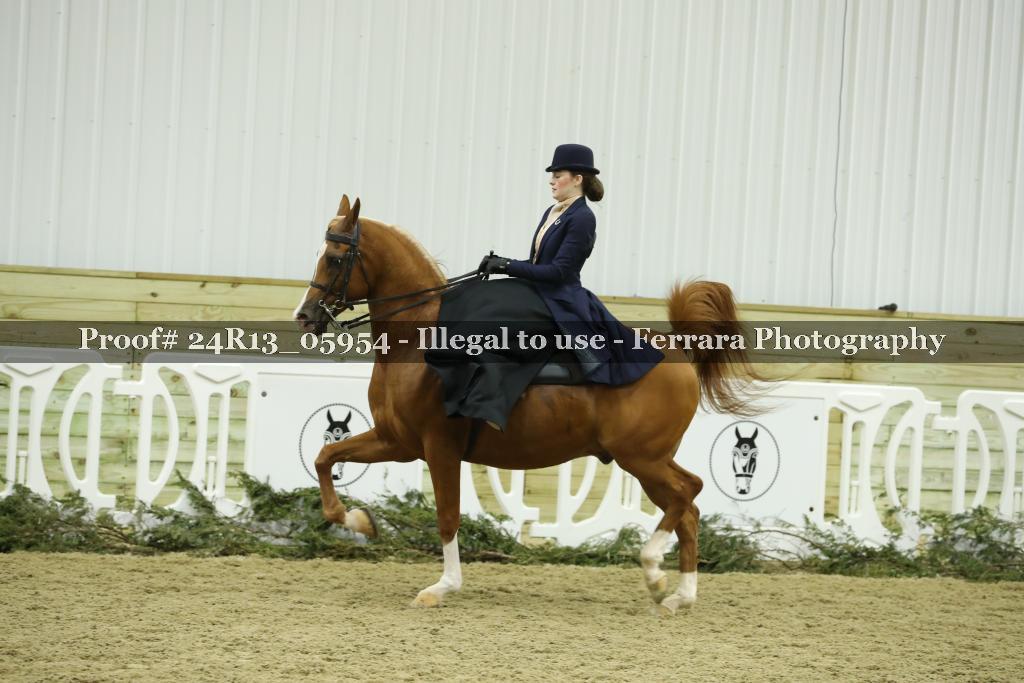 Proof Number 24R13_05954