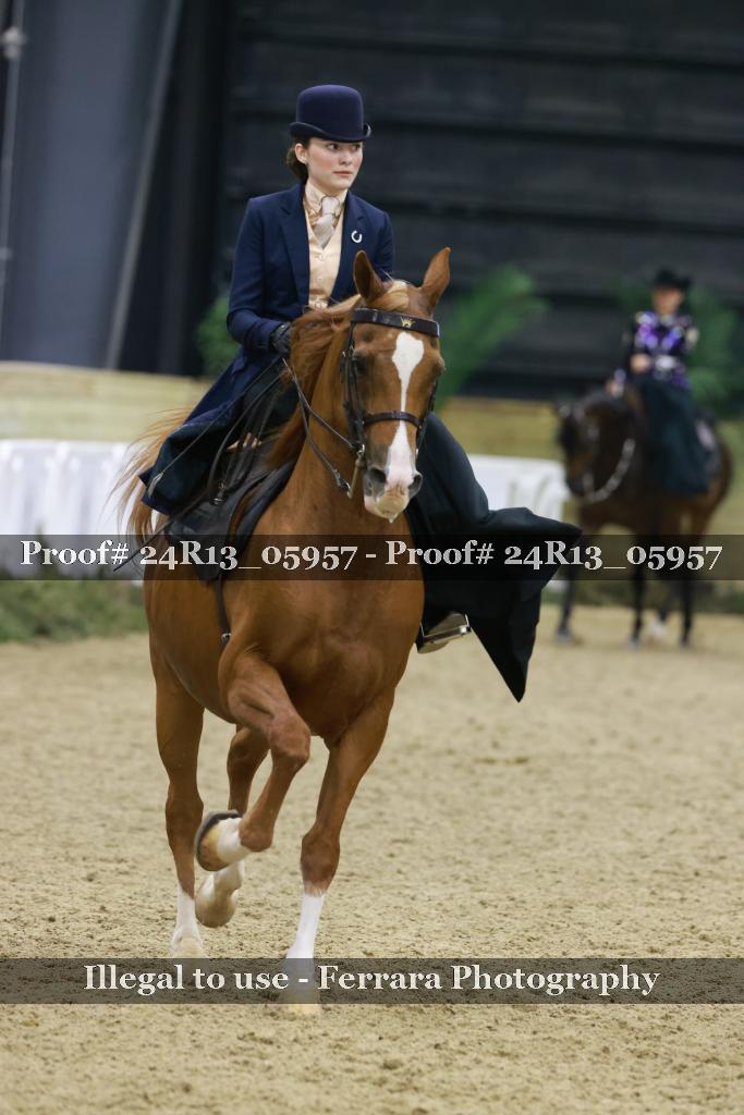 Proof Number 24R13_05957