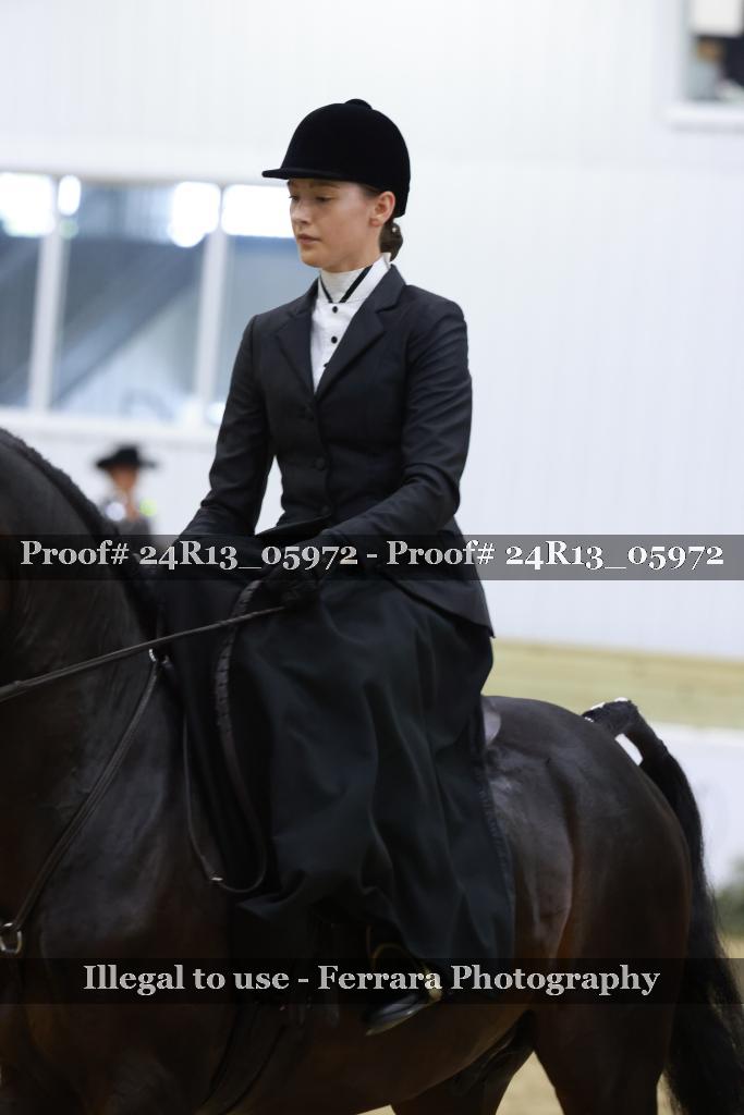 Proof Number 24R13_05972