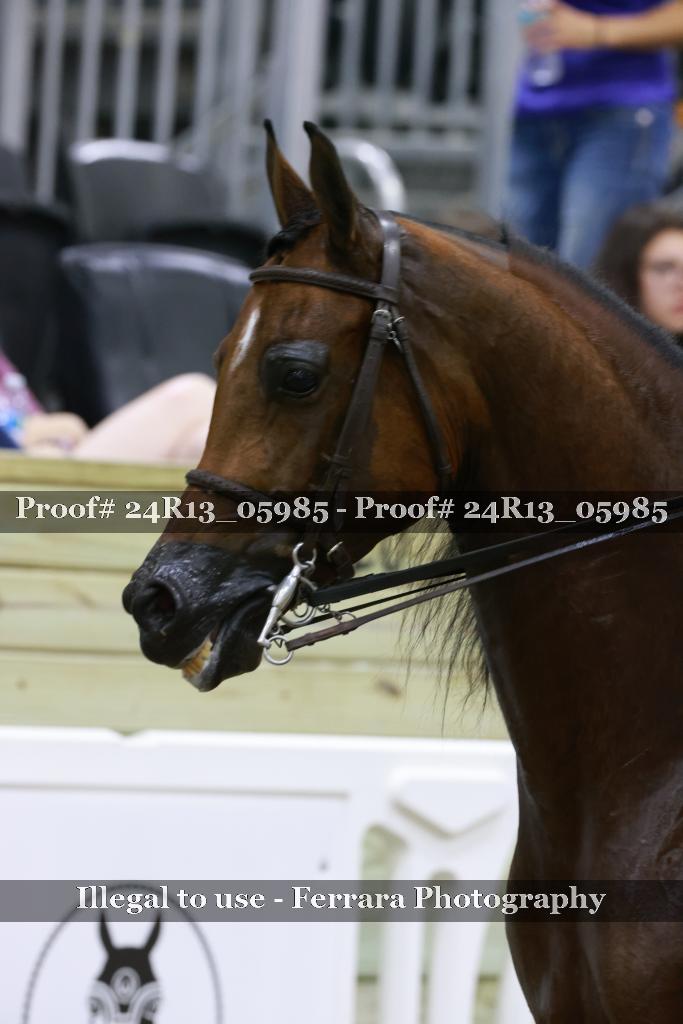 Proof Number 24R13_05985