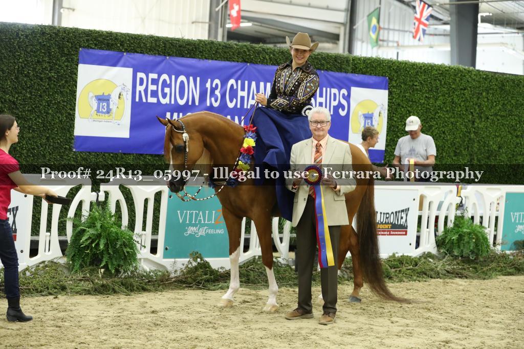 Proof Number 24R13_05997