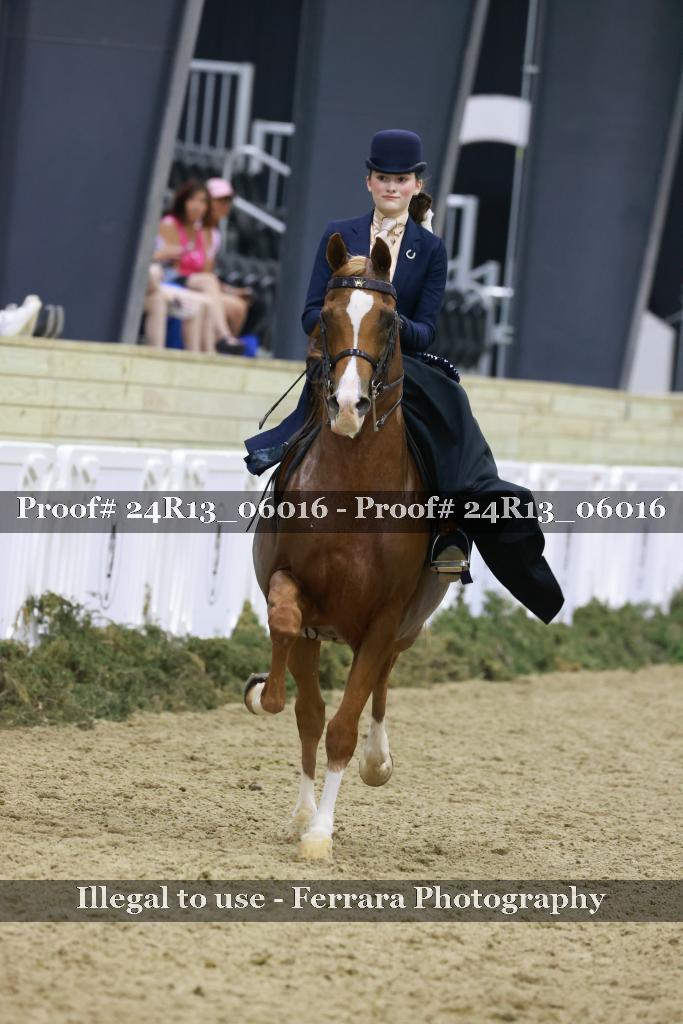 Proof Number 24R13_06016