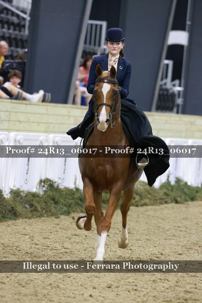 Proof Number 24R13_06017