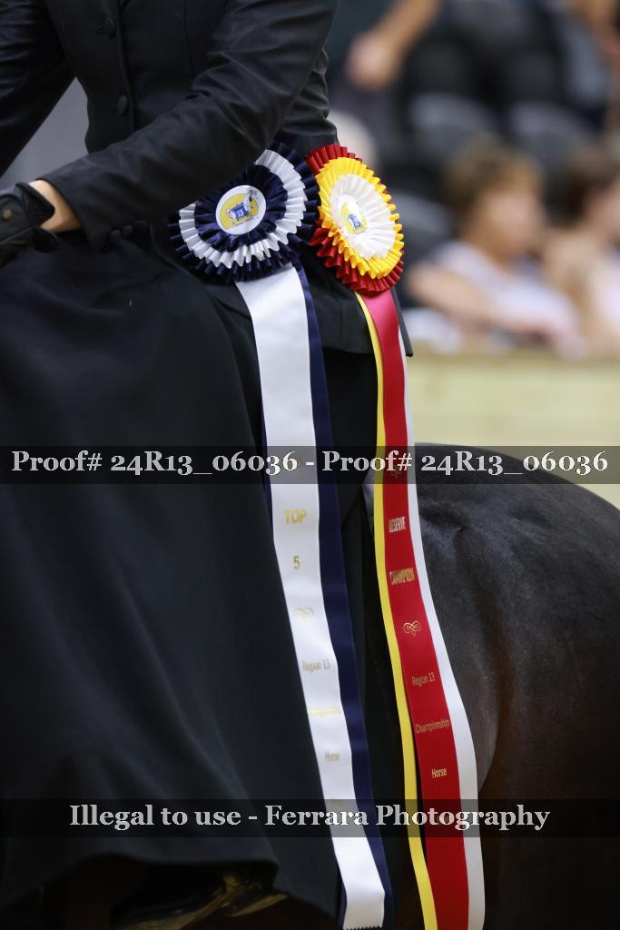 Proof Number 24R13_06036